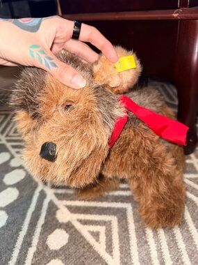 Steiff Junior Lumpi Dog with Ear Tag